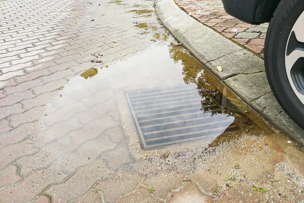 Common Causes of Blocked Drains and How to Prevent Them